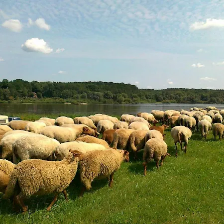 **** Elbblick-ferienwohnung Artlenburg